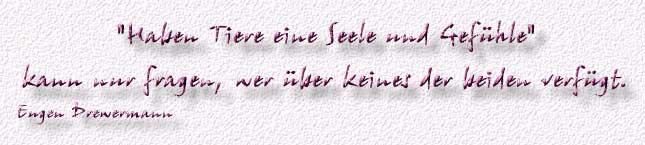 11.Spruch