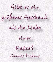 13.Spruch