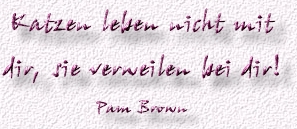 17.Spruch