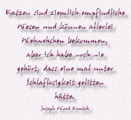 19.Spruch