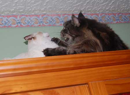 1bDSC_0142
