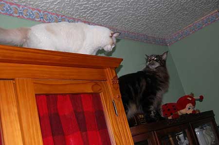 1bDSC_0145