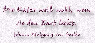 20.Spruch