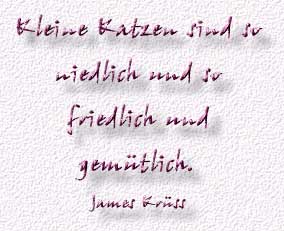 21.Spruch