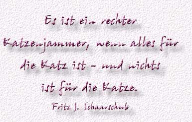 22.Spruch