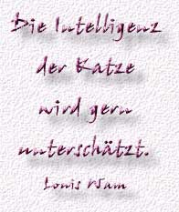 23.Spruch