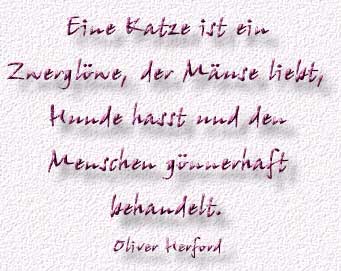 25.Spruch