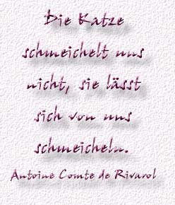 27.Spruch