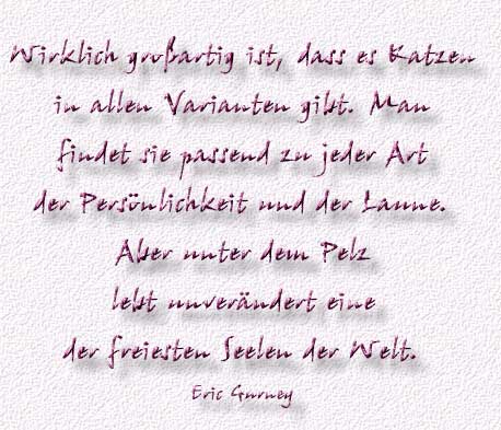 28.Spruch