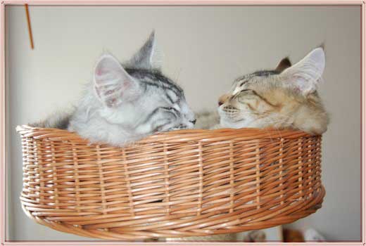 2Juni09