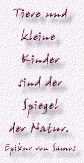 30.Spruch
