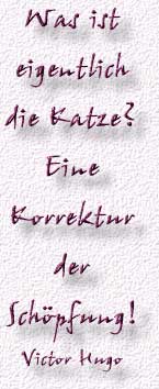 33.Spruch