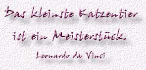 34.Spruch