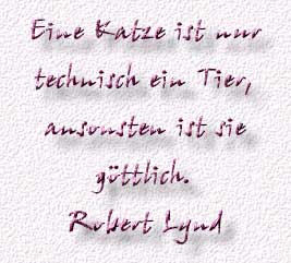 35.Spruch
