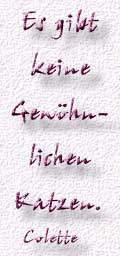 36.Spruch