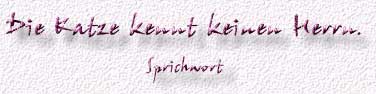 37.Spruch
