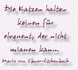 39.Spruch