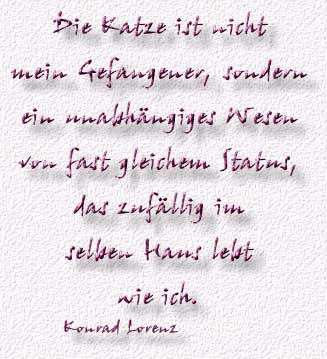 4.spruch