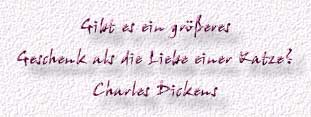 40.Spruch