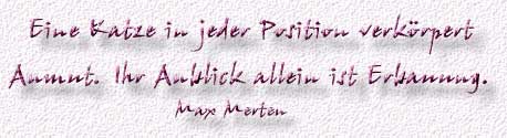 5.Spruch