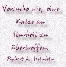 6.Spruch