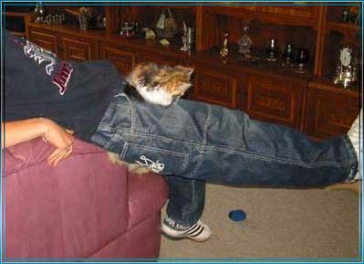 ALLE_KATZEN_UND_THOMAS_0031