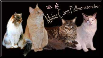 BannerFellmonsterchen