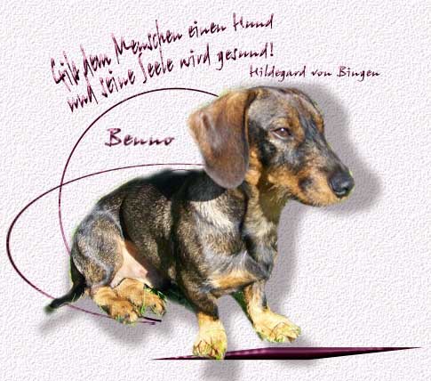 BennoEingang