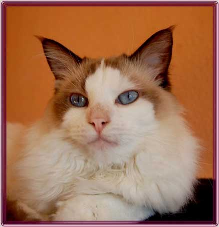 ChesterDSC_0043