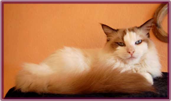 ChesterDSC_0045