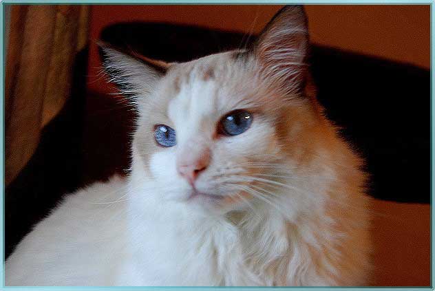 DSC_0029ches