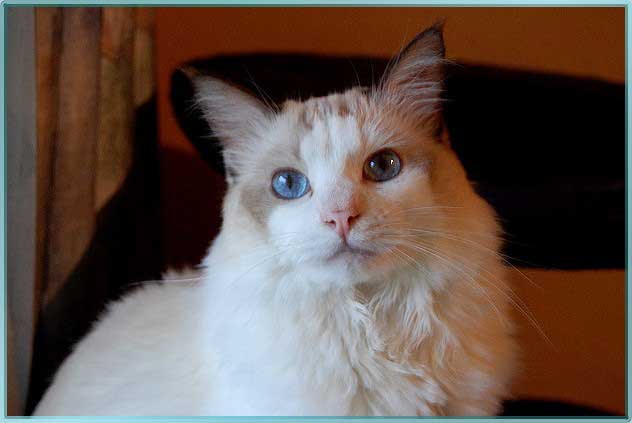 DSC_0030ches