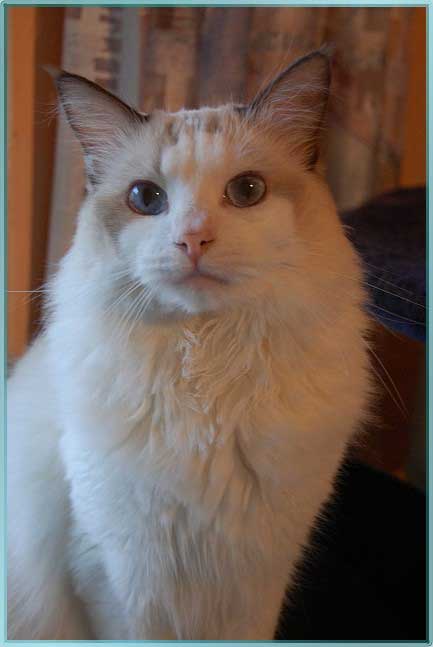 DSC_0034ches