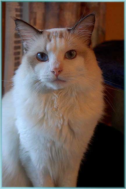DSC_0035ches