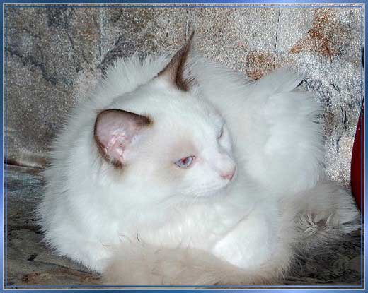 DSCb_0082