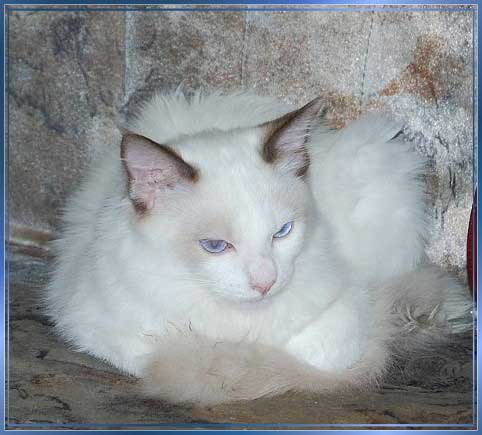 DSCb_0084