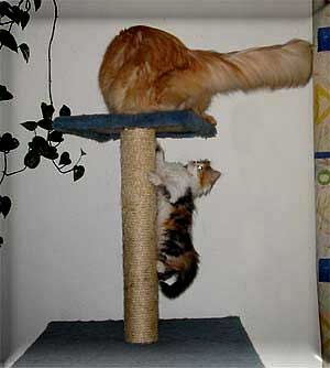 Franny_3.jpgweb