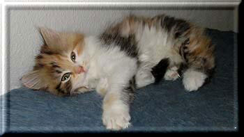 Franny_7baby.jpgweb