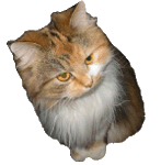 Franny_adobe.gifmittel Franny_adobe.gifmittel