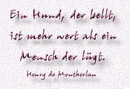 HubertSpruch1