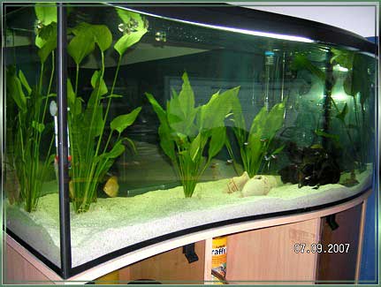 SANY0065