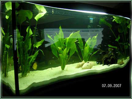 SANY0066