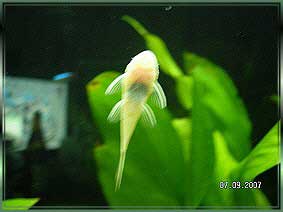 SANY0075