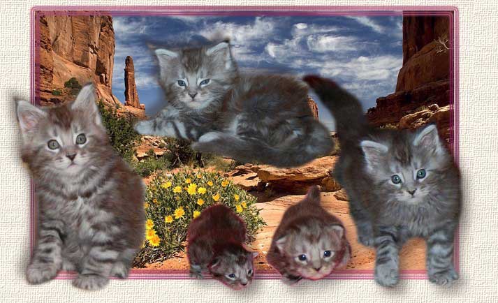 SammyMontage1
