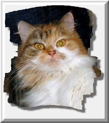 a2 franny.jpgweb
