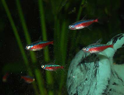 aDSC_0148