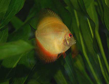 aDSC_0149