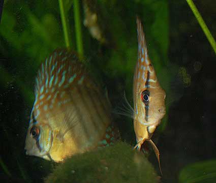 aDSC_0150