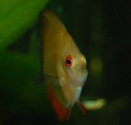 aDSC_0157
