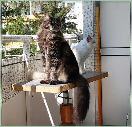 abDSC_0075